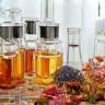 Various test tubes and lab equipment with natural botanical extracts